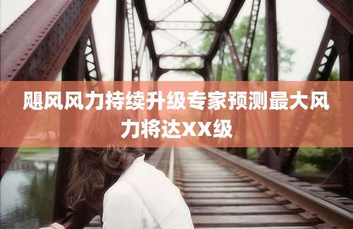飓风风力持续升级专家预测最大风力将达XX级