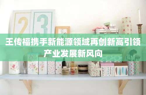王传福携手新能源领域再创新高引领产业发展新风向