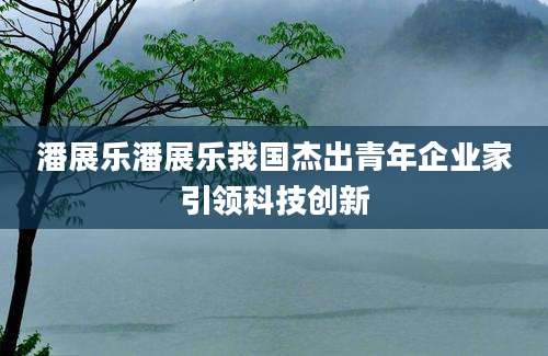 潘展乐潘展乐我国杰出青年企业家引领科技创新