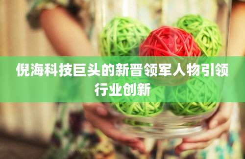 倪海科技巨头的新晋领军人物引领行业创新