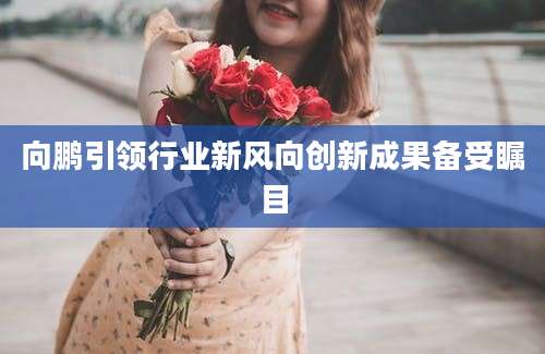 向鹏引领行业新风向创新成果备受瞩目