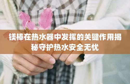 镁棒在热水器中发挥的关键作用揭秘守护热水安全无忧