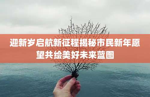 迎新岁启航新征程揭秘市民新年愿望共绘美好未来蓝图