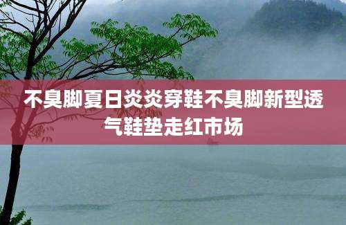 不臭脚夏日炎炎穿鞋不臭脚新型透气鞋垫走红市场