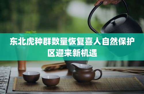 东北虎种群数量恢复喜人自然保护区迎来新机遇