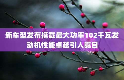 新车型发布搭载最大功率102千瓦发动机性能卓越引人瞩目