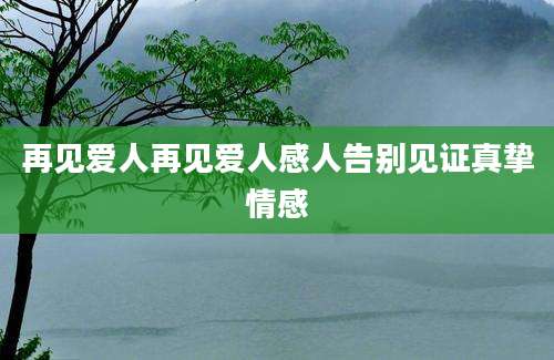 再见爱人再见爱人感人告别见证真挚情感