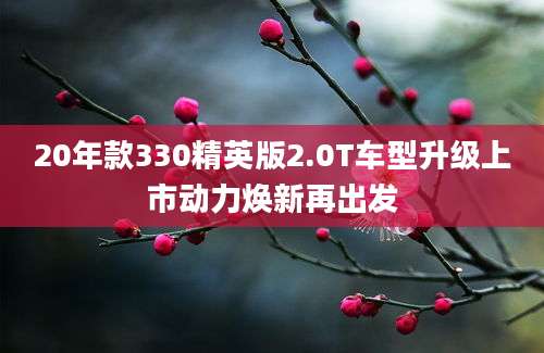 20年款330精英版2.0T车型升级上市动力焕新再出发
