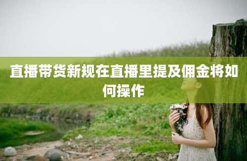 直播带货新规在直播里提及佣金将如何操作