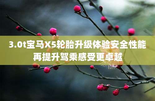 3.0t宝马X5轮胎升级体验安全性能再提升驾乘感受更卓越