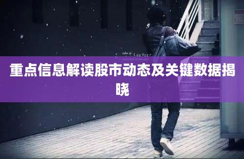 重点信息解读股市动态及关键数据揭晓