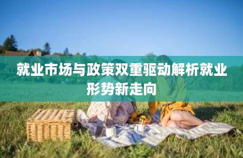 就业市场与政策双重驱动解析就业形势新走向