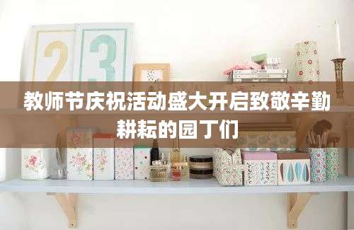 教师节庆祝活动盛大开启致敬辛勤耕耘的园丁们