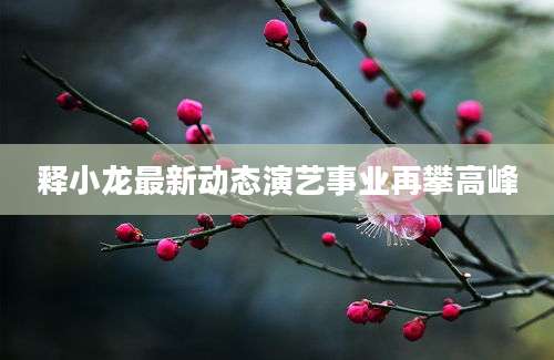 释小龙最新动态演艺事业再攀高峰