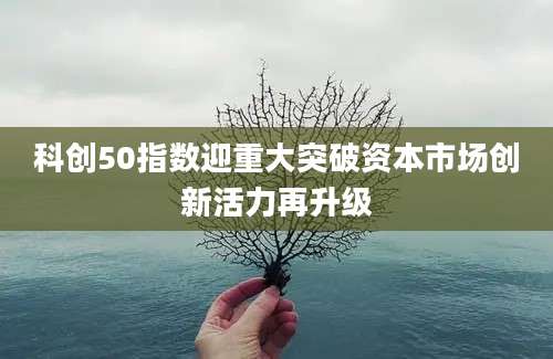 科创50指数迎重大突破资本市场创新活力再升级