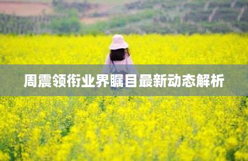 周震领衔业界瞩目最新动态解析