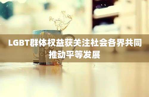 LGBT群体权益获关注社会各界共同推动平等发展