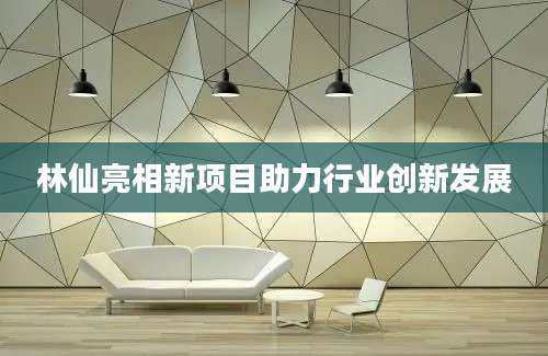 林仙亮相新项目助力行业创新发展
