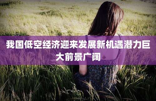 我国低空经济迎来发展新机遇潜力巨大前景广阔