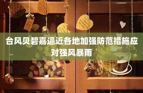 台风贝碧嘉逼近各地加强防范措施应对强风暴雨