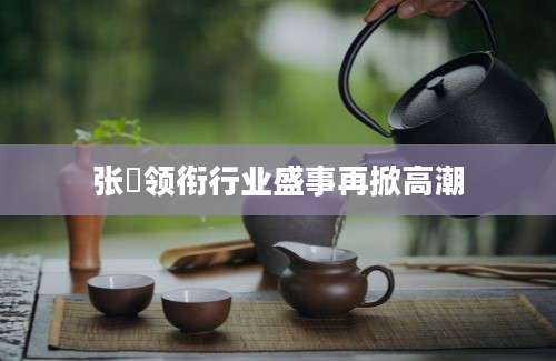 张堃领衔行业盛事再掀高潮