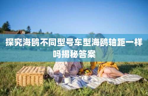 探究海鸥不同型号车型海鸥轴距一样吗揭秘答案