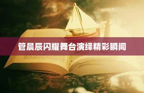 管晨辰闪耀舞台演绎精彩瞬间