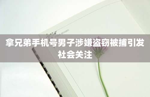 拿兄弟手机号男子涉嫌盗窃被捕引发社会关注