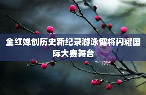 全红婵创历史新纪录游泳健将闪耀国际大赛舞台