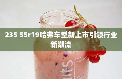 235 55r19哈弗车型新上市引领行业新潮流