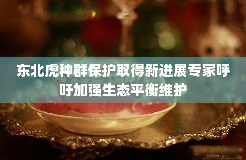 东北虎种群保护取得新进展专家呼吁加强生态平衡维护