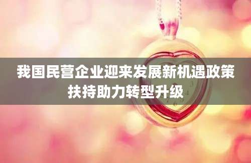我国民营企业迎来发展新机遇政策扶持助力转型升级
