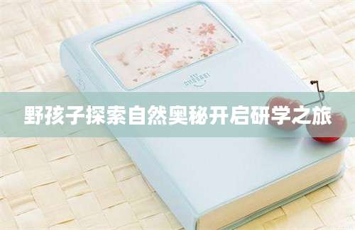 野孩子探索自然奥秘开启研学之旅