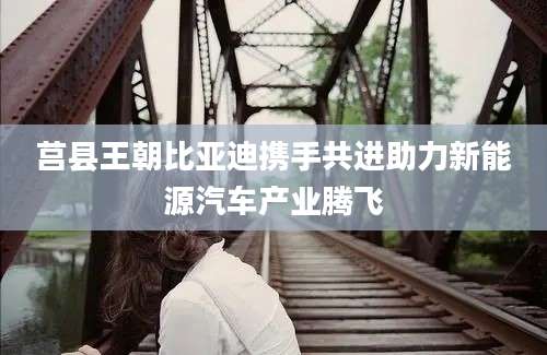 莒县王朝比亚迪携手共进助力新能源汽车产业腾飞