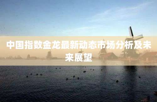 中国指数金龙最新动态市场分析及未来展望