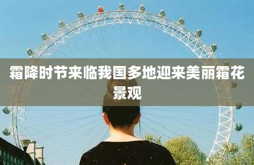 霜降时节来临我国多地迎来美丽霜花景观