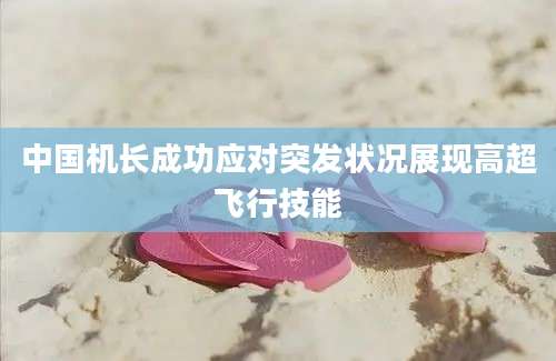 中国机长成功应对突发状况展现高超飞行技能