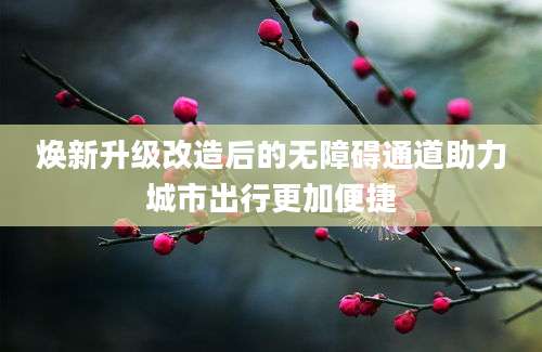 焕新升级改造后的无障碍通道助力城市出行更加便捷