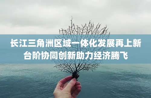 长江三角洲区域一体化发展再上新台阶协同创新助力经济腾飞