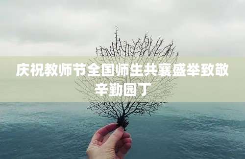 庆祝教师节全国师生共襄盛举致敬辛勤园丁