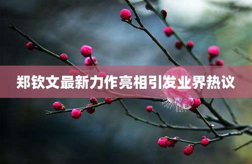 郑钦文最新力作亮相引发业界热议