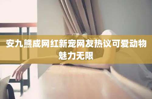 安九熊成网红新宠网友热议可爱动物魅力无限