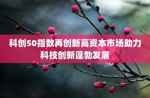 科创50指数再创新高资本市场助力科技创新蓬勃发展