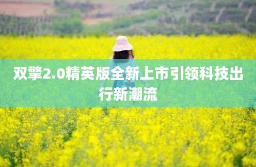 双擎2.0精英版全新上市引领科技出行新潮流