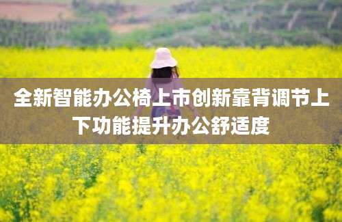 全新智能办公椅上市创新靠背调节上下功能提升办公舒适度