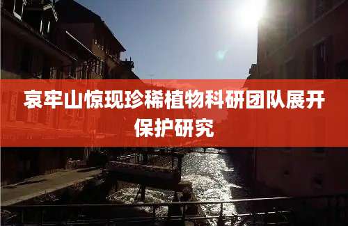 哀牢山惊现珍稀植物科研团队展开保护研究