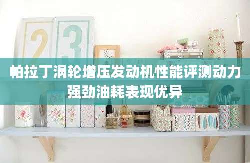 帕拉丁涡轮增压发动机性能评测动力强劲油耗表现优异