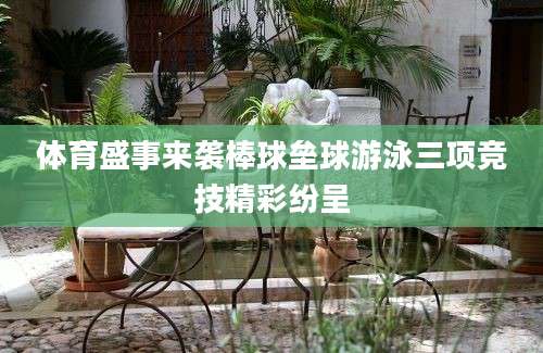 体育盛事来袭棒球垒球游泳三项竞技精彩纷呈