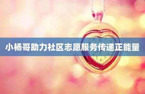 小杨哥助力社区志愿服务传递正能量