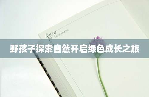 野孩子探索自然开启绿色成长之旅